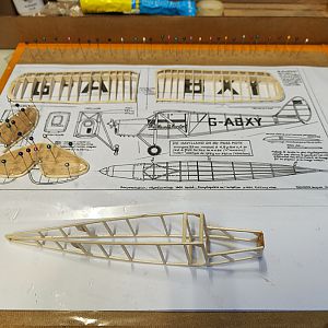 PEANUT_MOTH__036