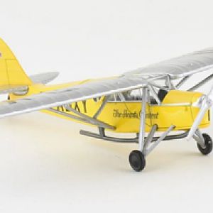 PEANUT_MOTH__068