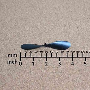 PEANUT_MOTH__074