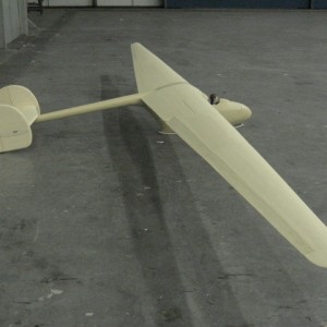 Olifant205