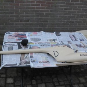 Olifant213