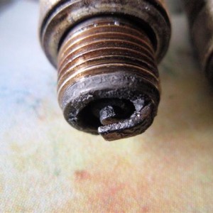 P3280144 (Small)