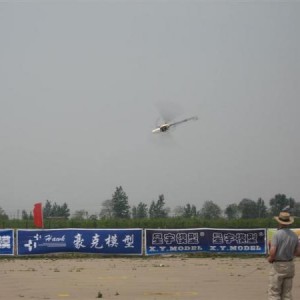 IMG 1528 (Medium)