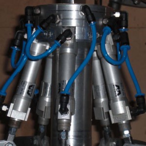poliepgrijper detail