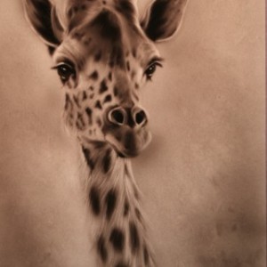 Foto JXL4QDXU