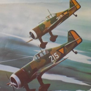 fokker DXXI schilderij Thijs Postma