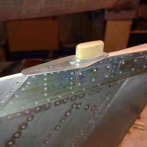 tail 007