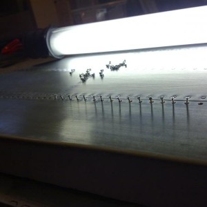tail 002