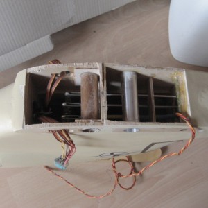 Olifant241