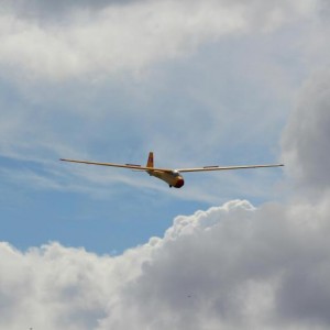 IMG 4783