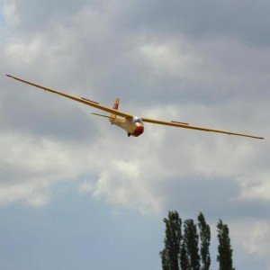 IMG 4784