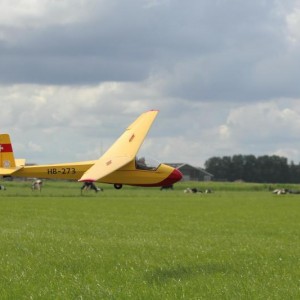 IMG 4785