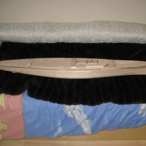 IMG 0082