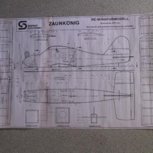 zaunkonig 06
