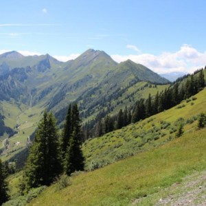IMG 0495 resize