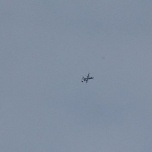 IMG 50781