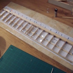 wing1