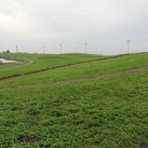 IMG 2152 resize