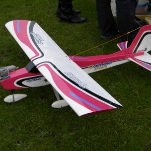Calmato sports nitro