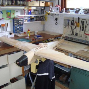 gestript tot op het hout