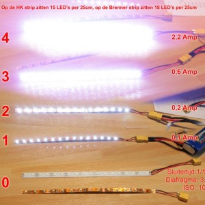 LED's (web)
