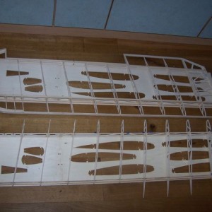 wing1