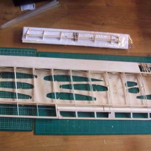 wingtopR1
