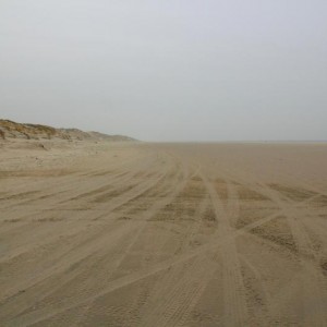 IMG 6922