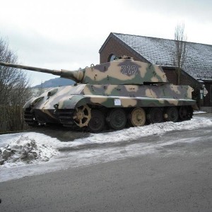 kingtiger