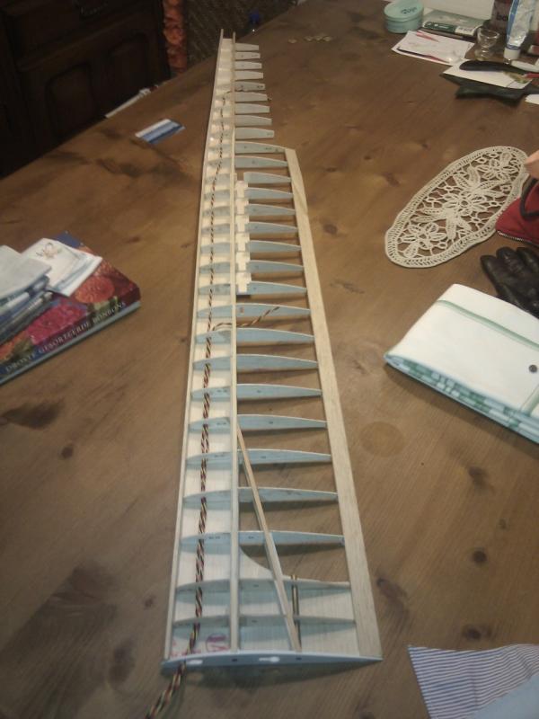 95607.jpg