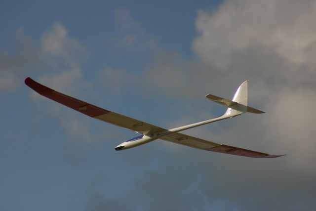 FantStrand 50