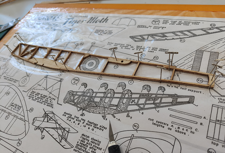 FF_TIGER_MOTH_008