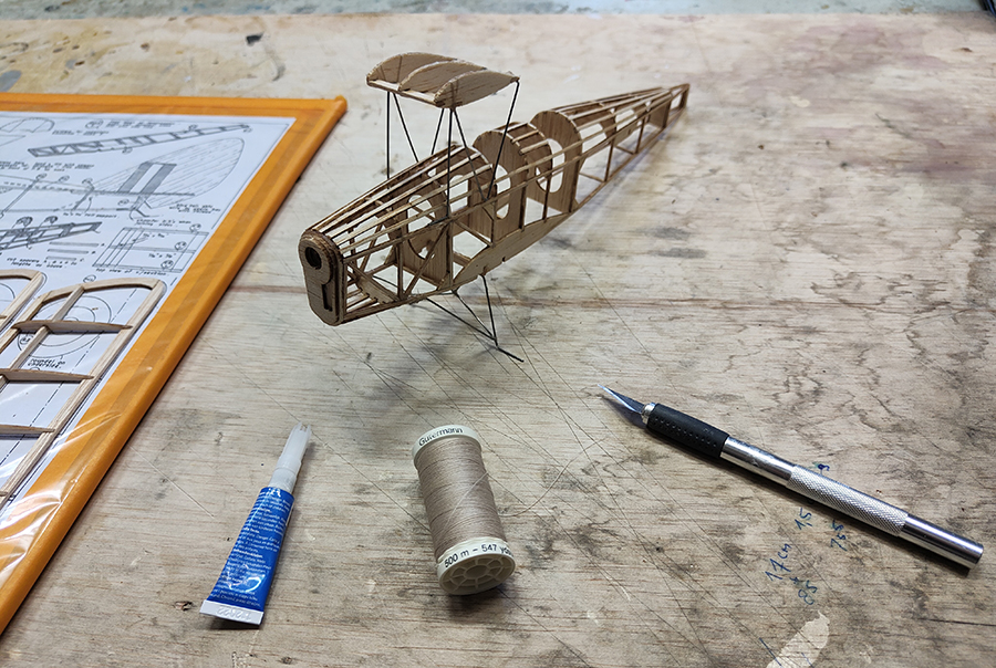 FF_TIGER_MOTH_017
