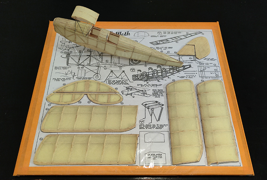 FF_TIGER_MOTH_029