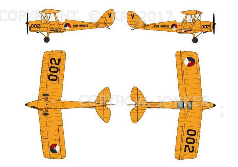 FF_TIGER_MOTH_031
