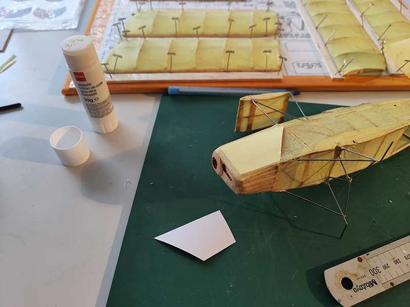 FF_TIGER_MOTH_034