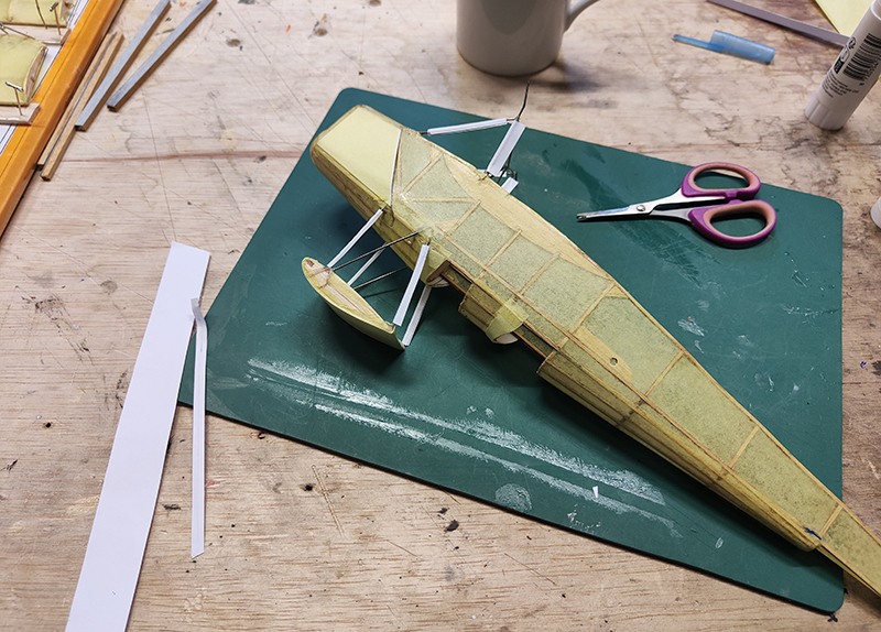 FF_TIGER_MOTH_036