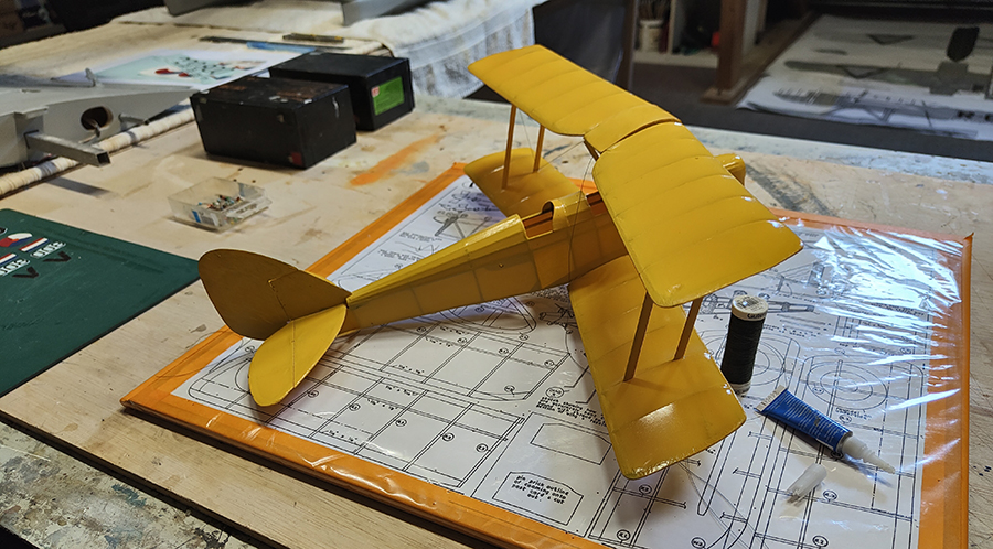 FF_TIGER_MOTH_044