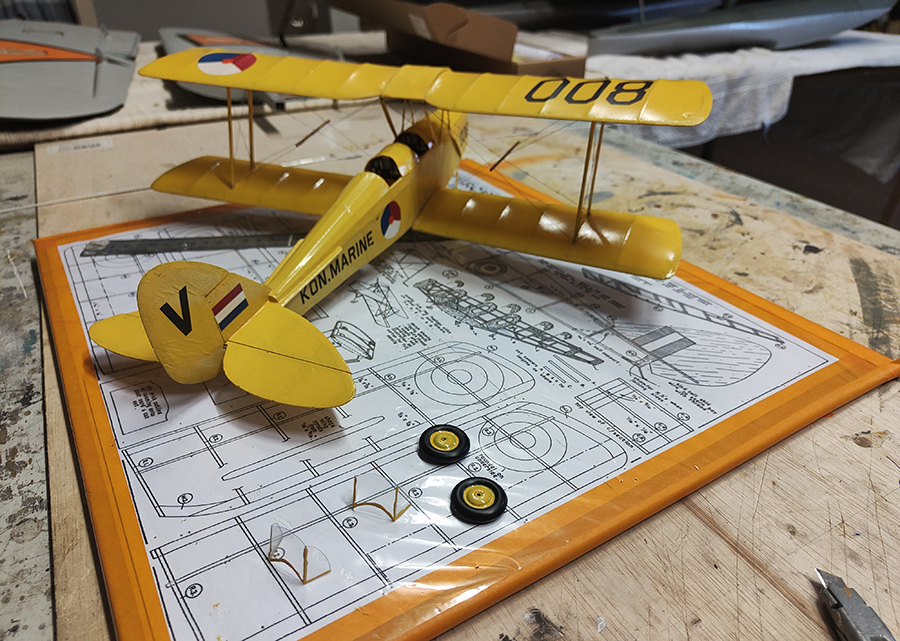 FF_TIGER_MOTH_052