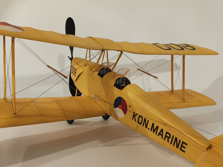 FF_TIGER_MOTH_067