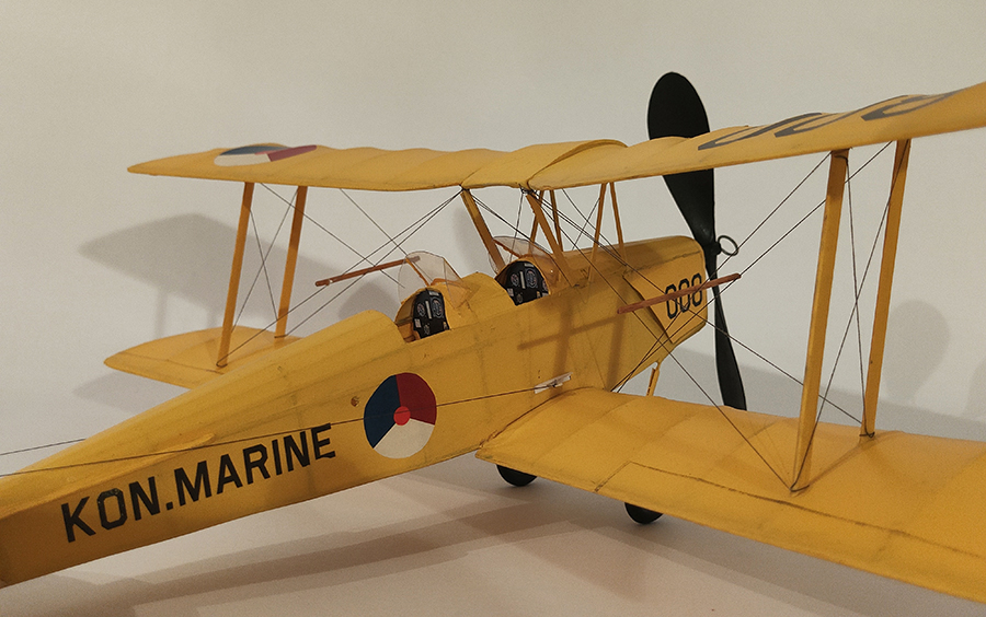 FF_TIGER_MOTH_068
