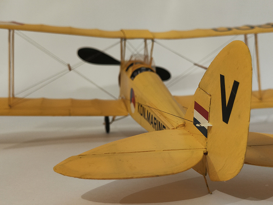 FF_TIGER_MOTH_069