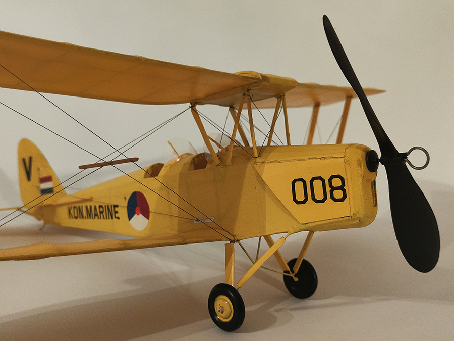 FF_TIGER_MOTH_070