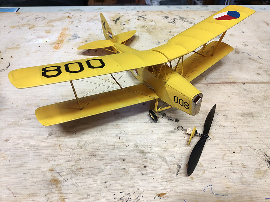 FF_TIGER_MOTH_073