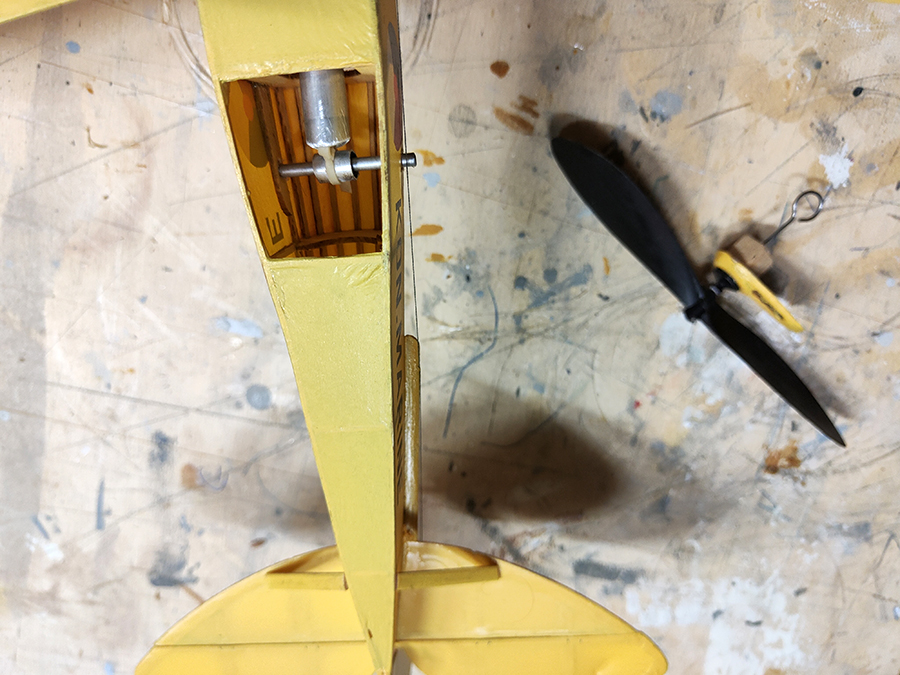 FF_TIGER_MOTH_097