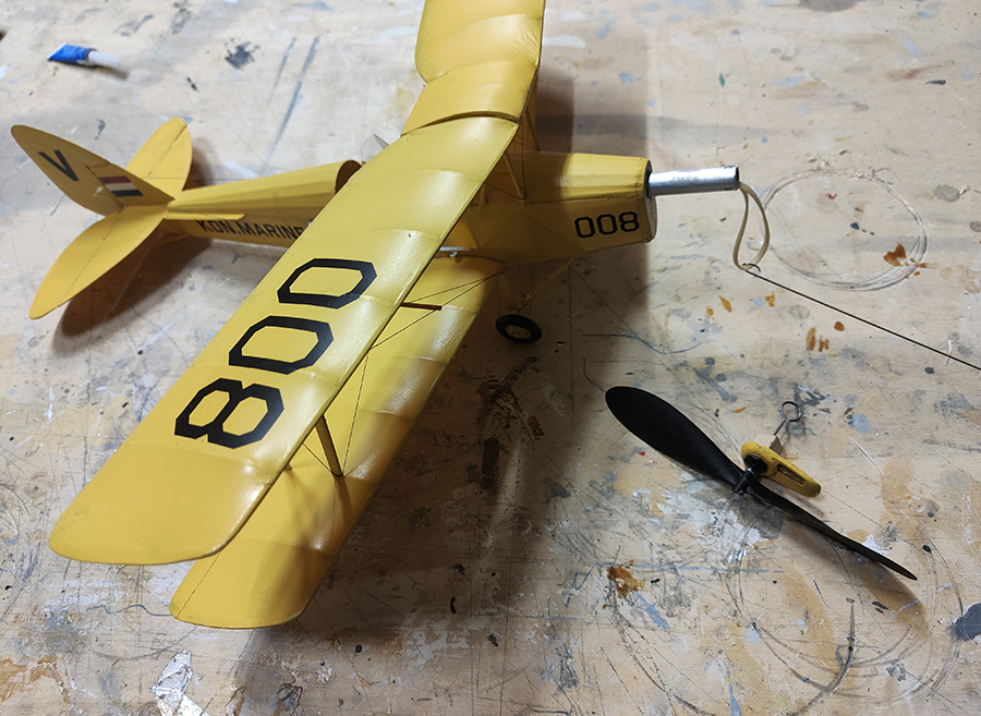 FF_TIGER_MOTH_098