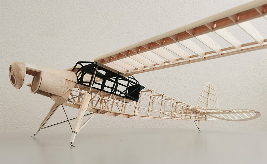 Fieseler_Storch__083