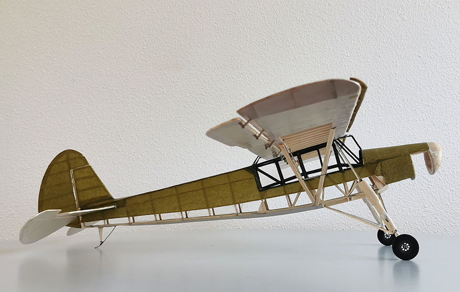 Fieseler_Storch__118