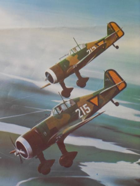 fokker DXXI schilderij Thijs Postma