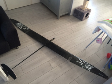 gigantalus2
